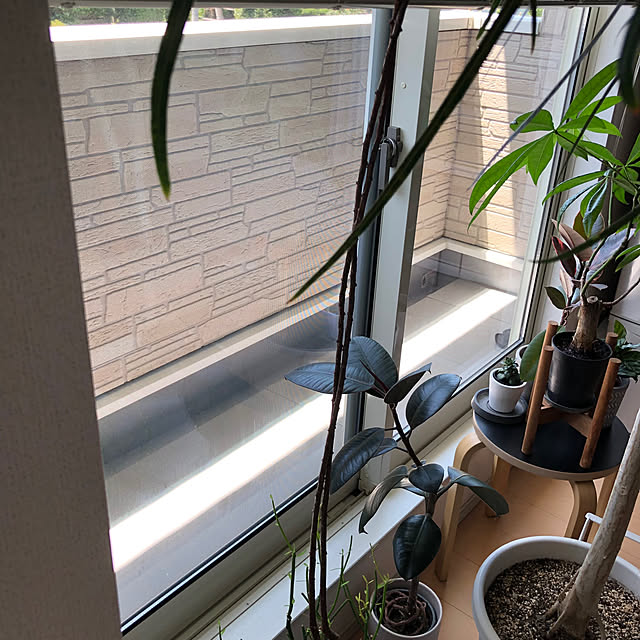 eriさんの部屋