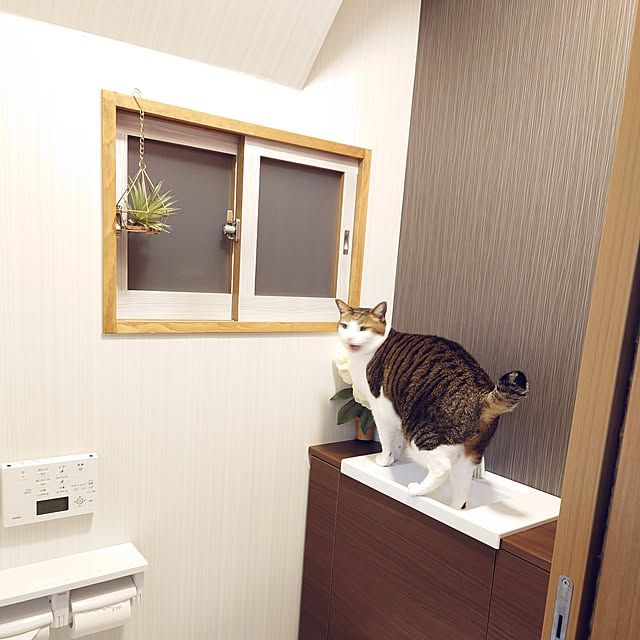 nachiさんの実例写真