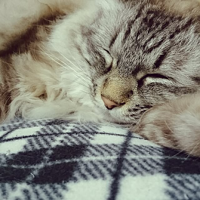 hiroさんの実例写真