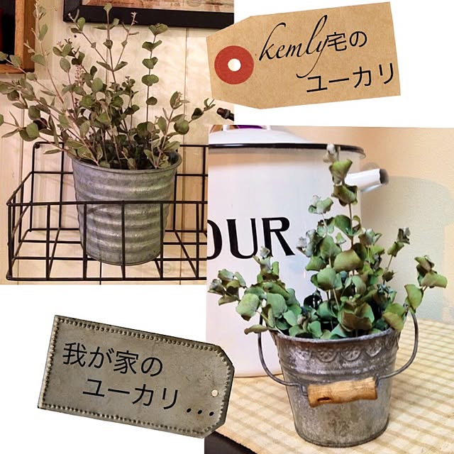 kemurin-monrouさんの実例写真