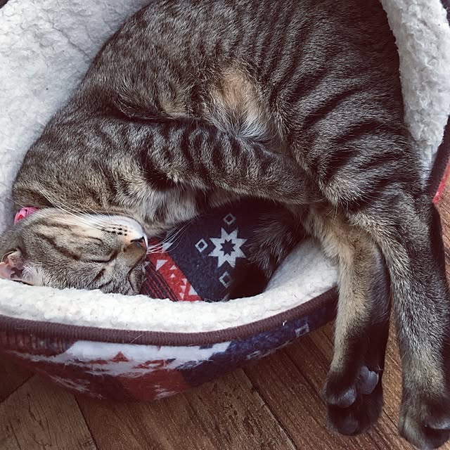 sayasさんの実例写真