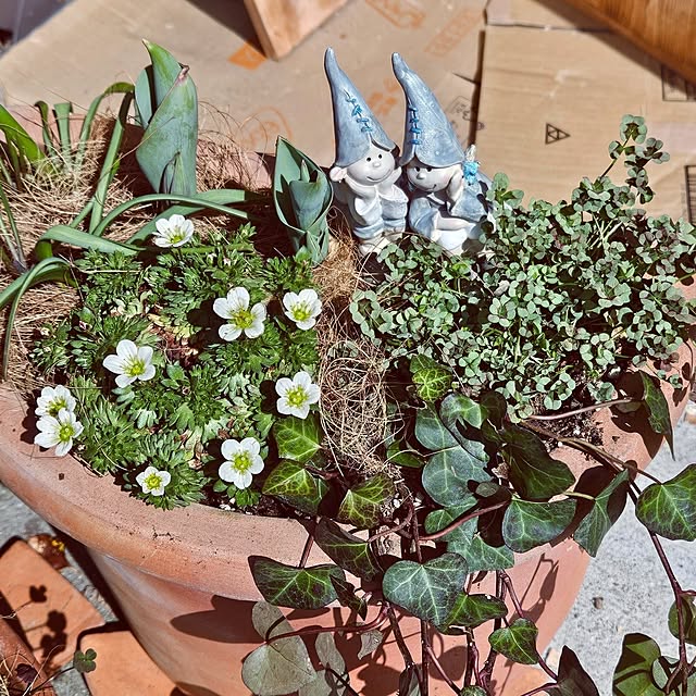 mocomocoさんの部屋