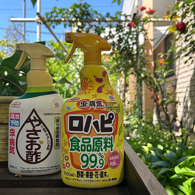 botanさんの実例写真