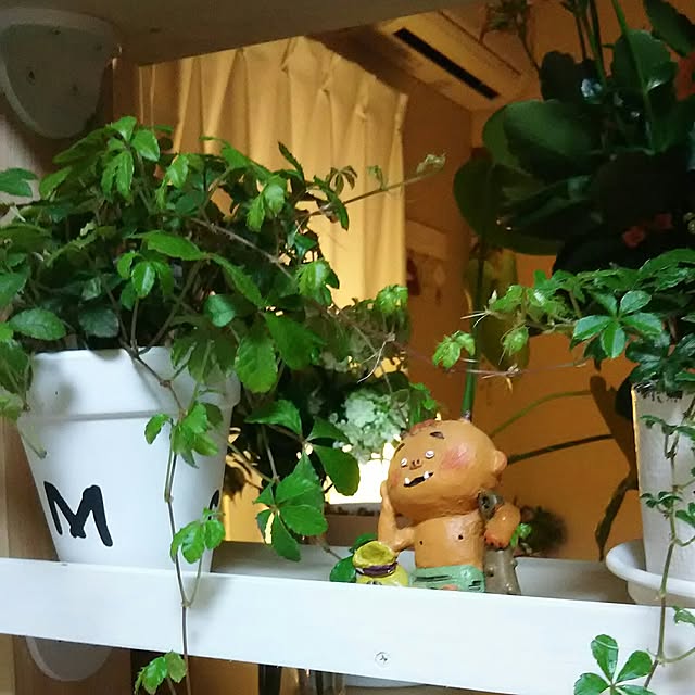 naopyiさんの実例写真
