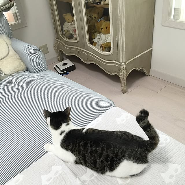 yuchiさんの実例写真