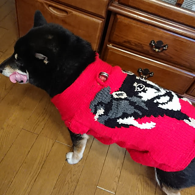 tsutawarimasuさんの実例写真