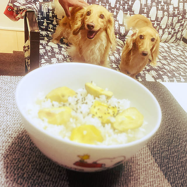 ikeさんの実例写真