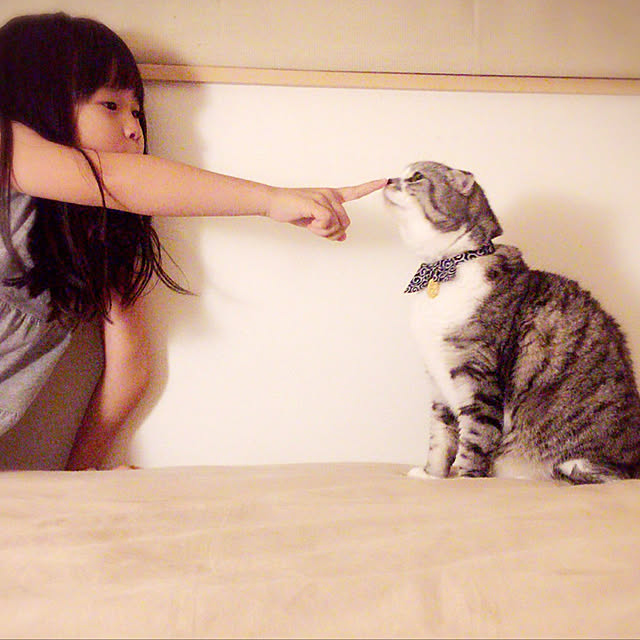 acoさんの実例写真