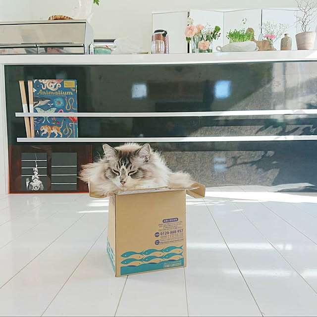 nonononakaさんの実例写真