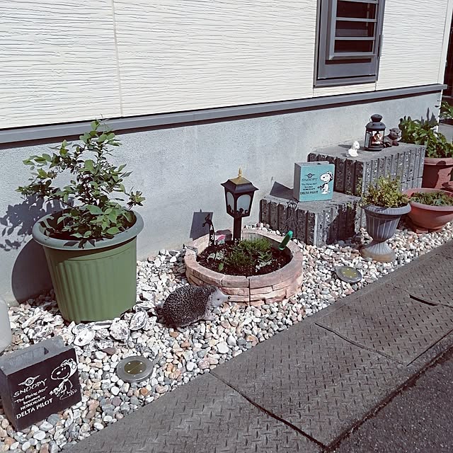 G.Mさんの部屋