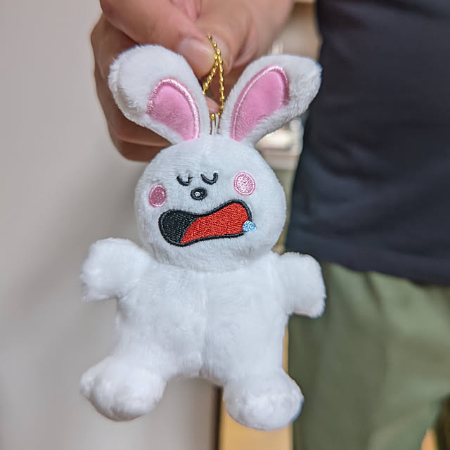 sakakenさんの実例写真