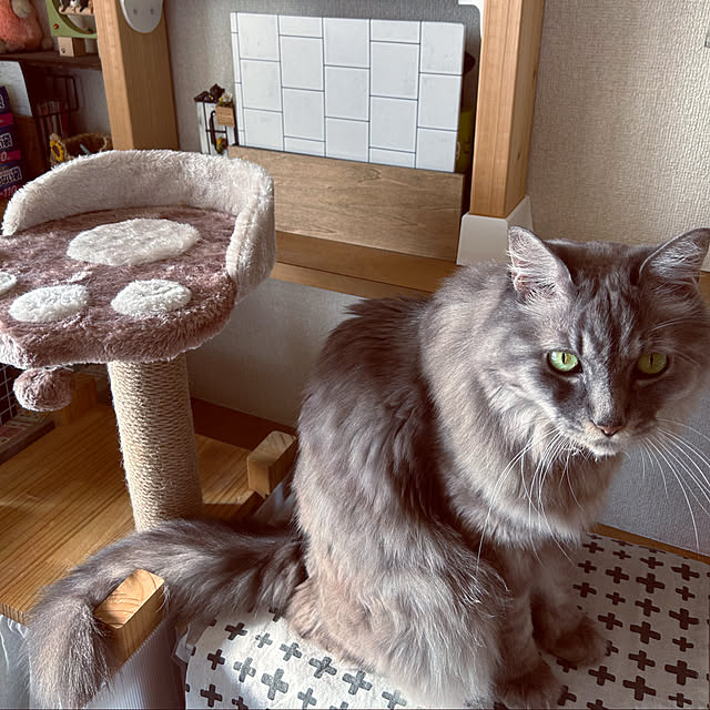 naworinさんの実例写真