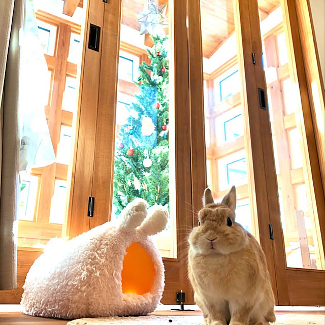 nako...さんの実例写真