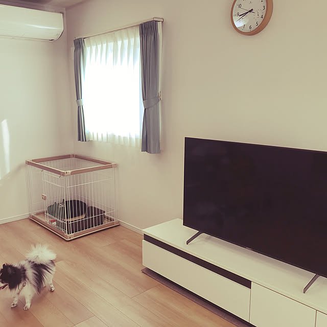 Wakakoさんの実例写真