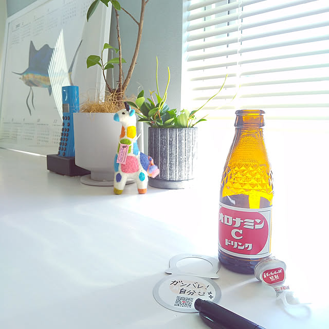 Haさんの実例写真