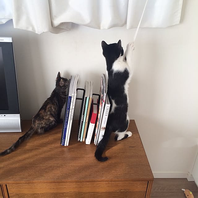 mikomaruさんの実例写真