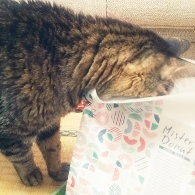 kittenblueさんの実例写真