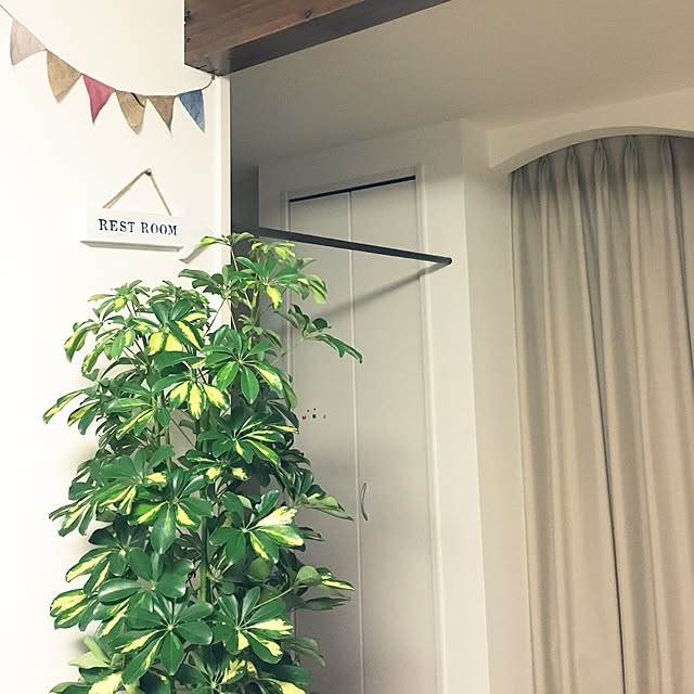suさんの実例写真