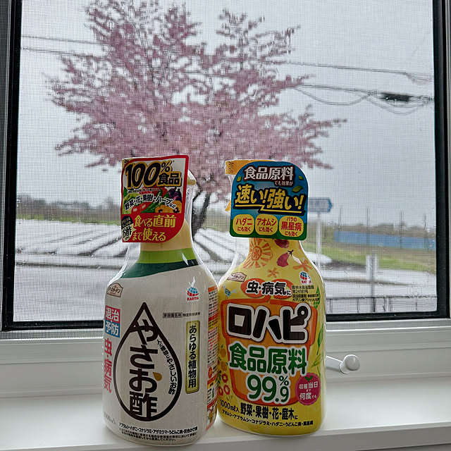 hanahana1444さんの部屋