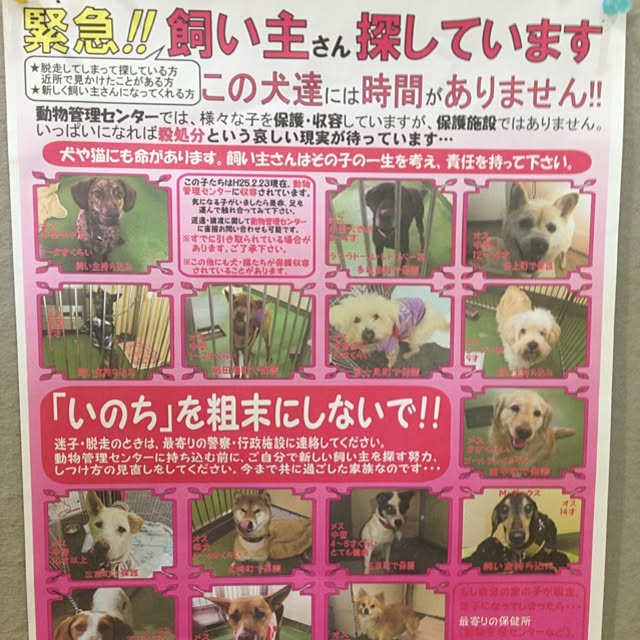 mobiri57さんの実例写真