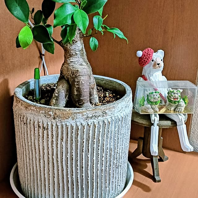 hanachanさんの部屋