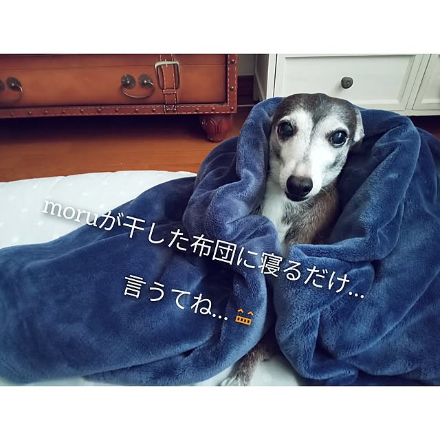 moruさんの部屋