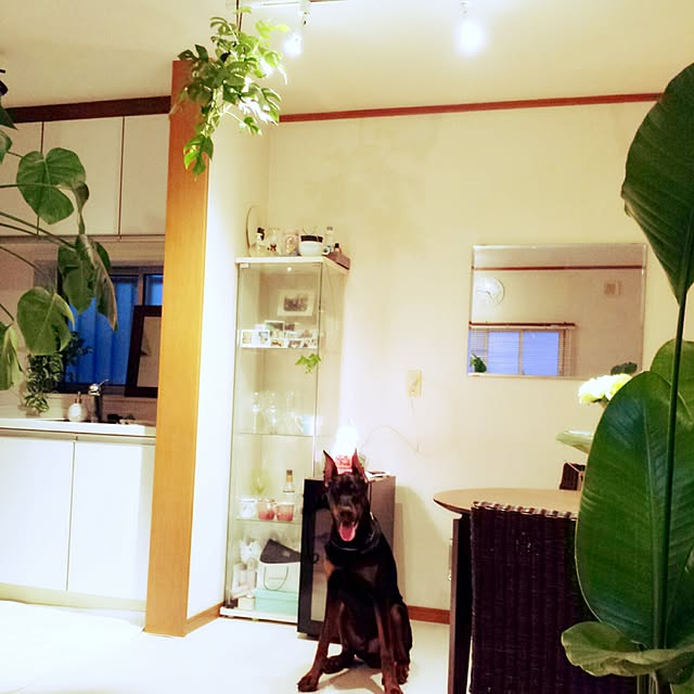 meco8さんの実例写真