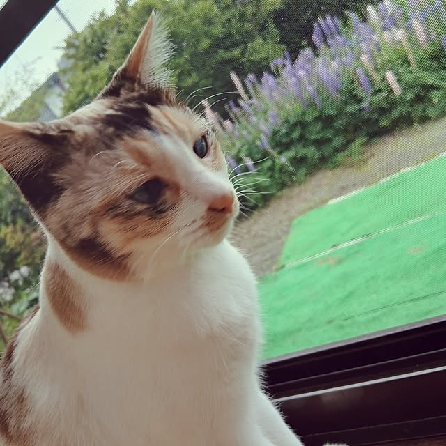 ruantaiさんの部屋