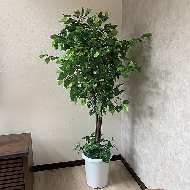 manaさんの実例写真