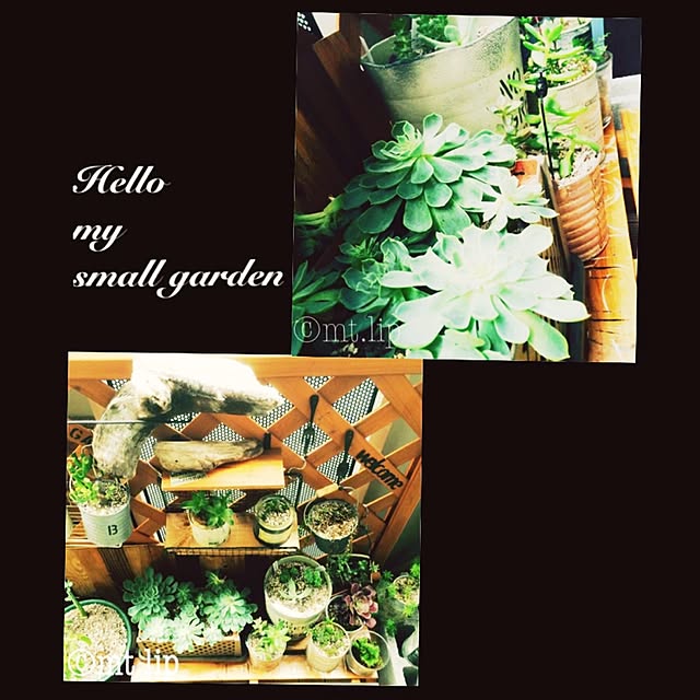 mt...lipさんの実例写真
