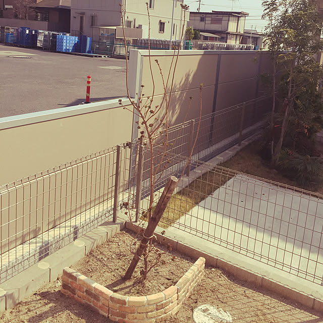 shibakoさんの実例写真