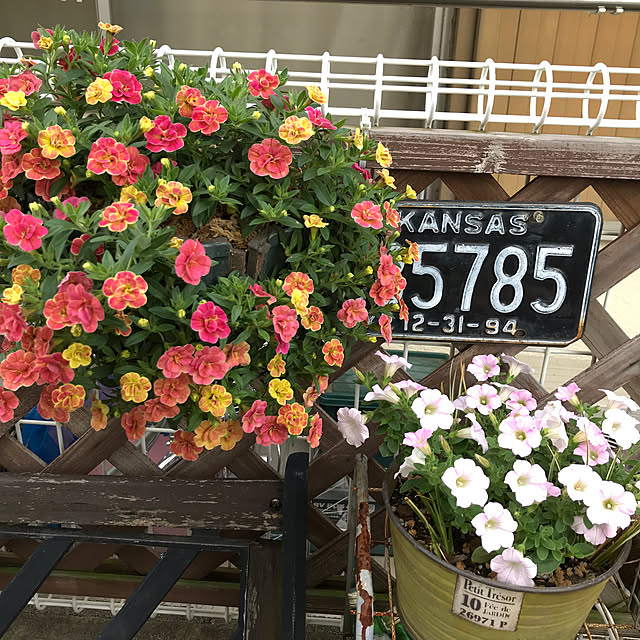 tanomamaさんの実例写真