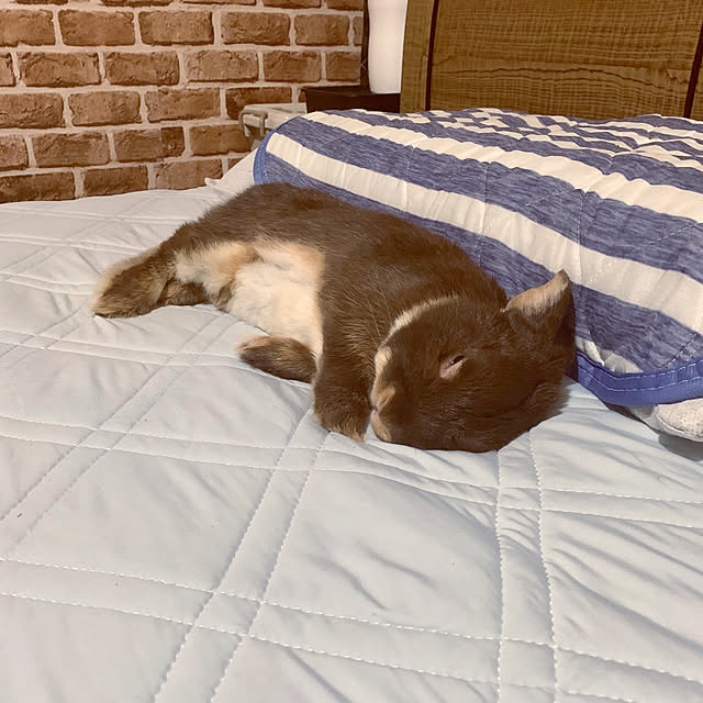 mo-nosukeさんの実例写真