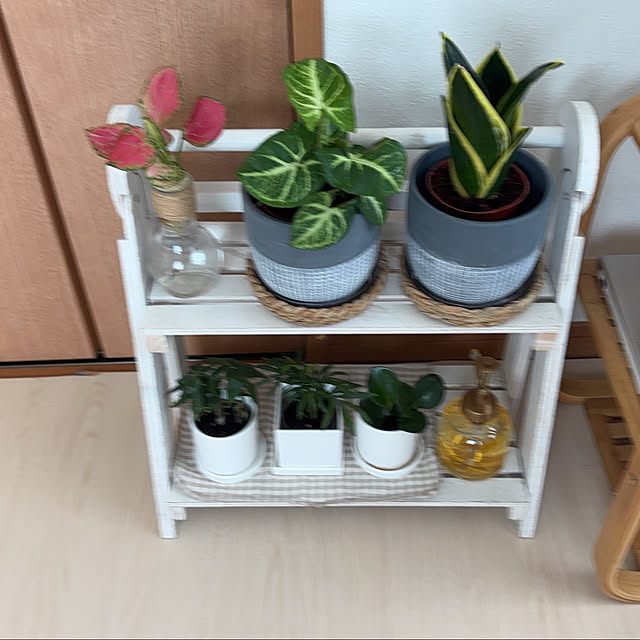 Aoiさんの部屋
