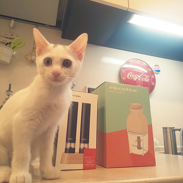 necoさんの実例写真