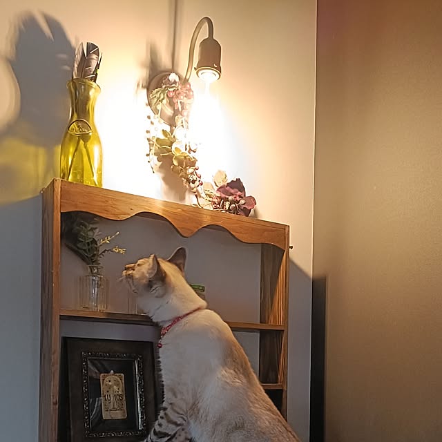 Atelier_tamakiさんの部屋