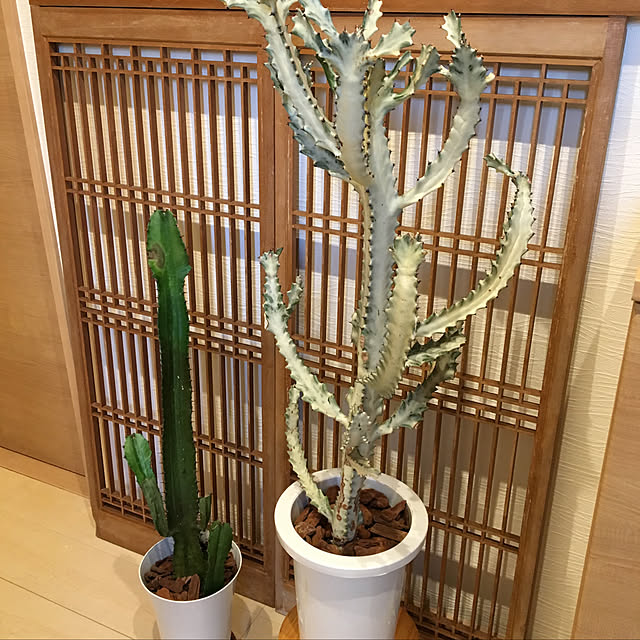 y.yoshimi4437さんの実例写真