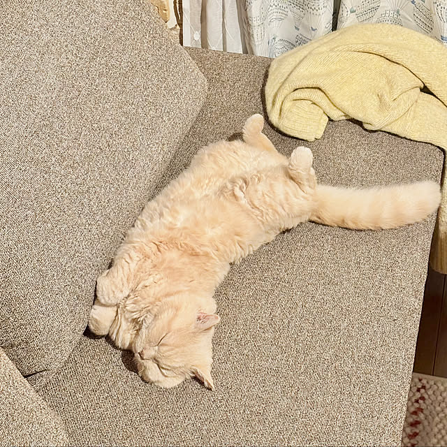 naokoさんの部屋