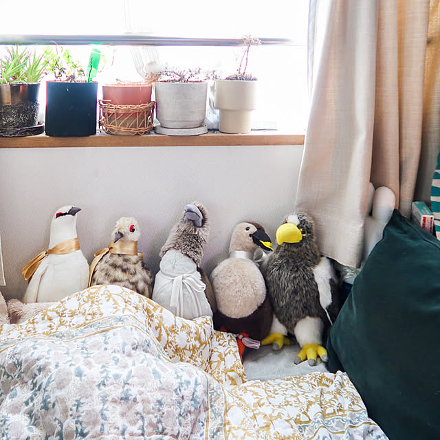 parrotさんの部屋