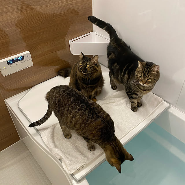 mikomaruさんの実例写真
