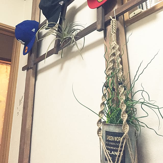 ebiomanさんの実例写真