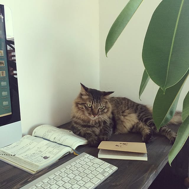 weさんの実例写真