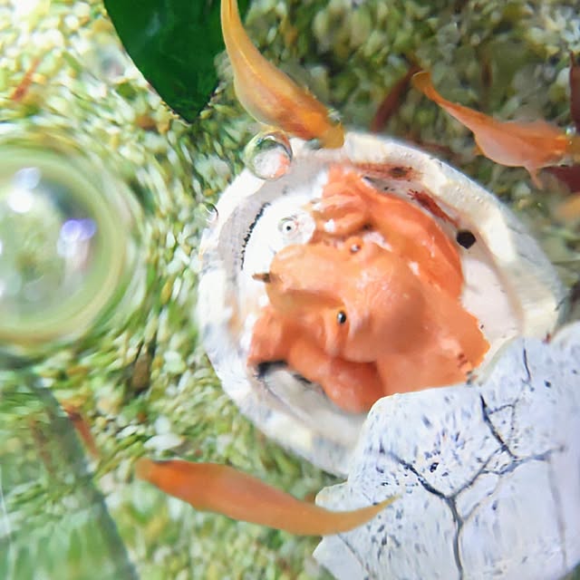 mariaさんの部屋