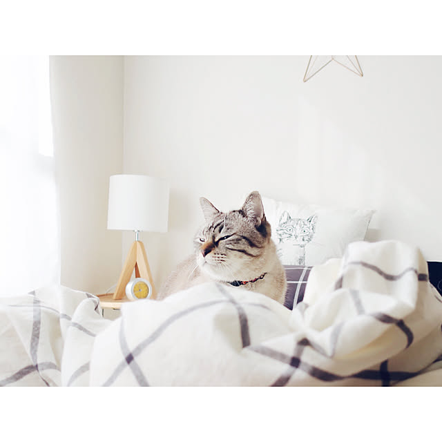 ineko_kさんの実例写真