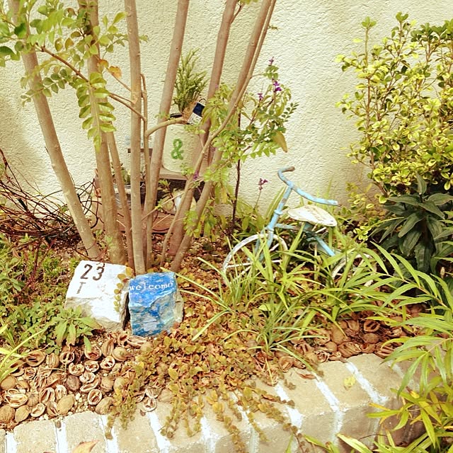 yurikoさんの実例写真