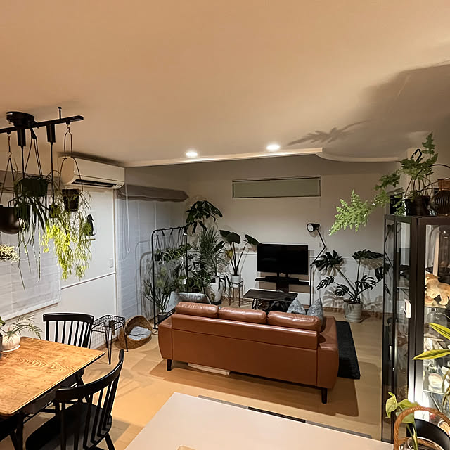 リビング/観葉植物のある暮らし/グリーンのある暮らし/観葉植物/IKEA...などのインテリア実例 - 2024-07-17 20:01:19