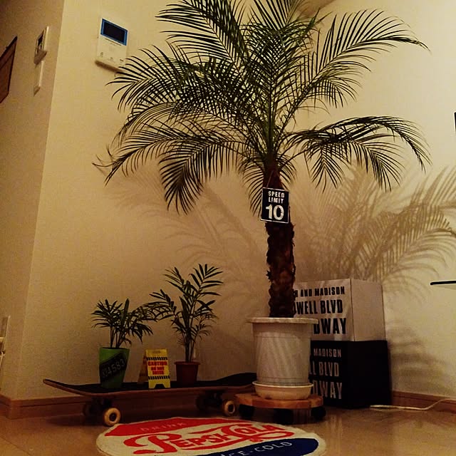 afro910さんの実例写真