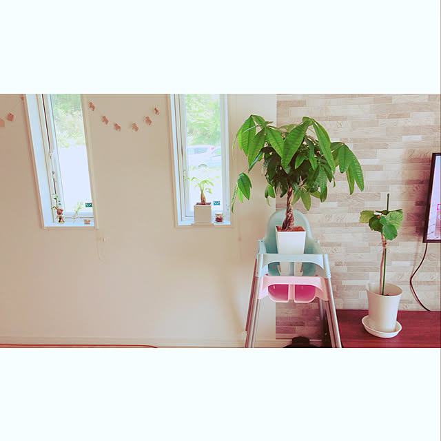 minmim.さんの実例写真