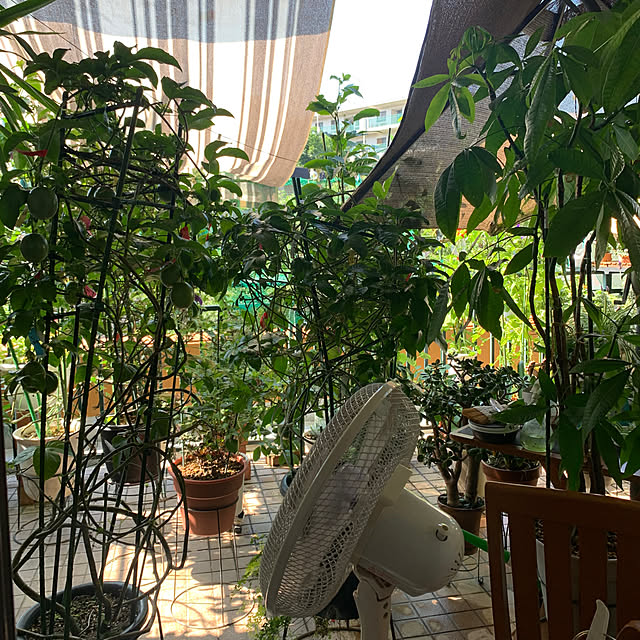 Aqettyさんの部屋