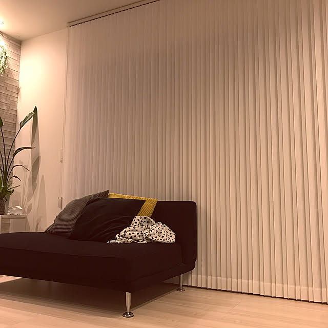 riakanaさんの実例写真